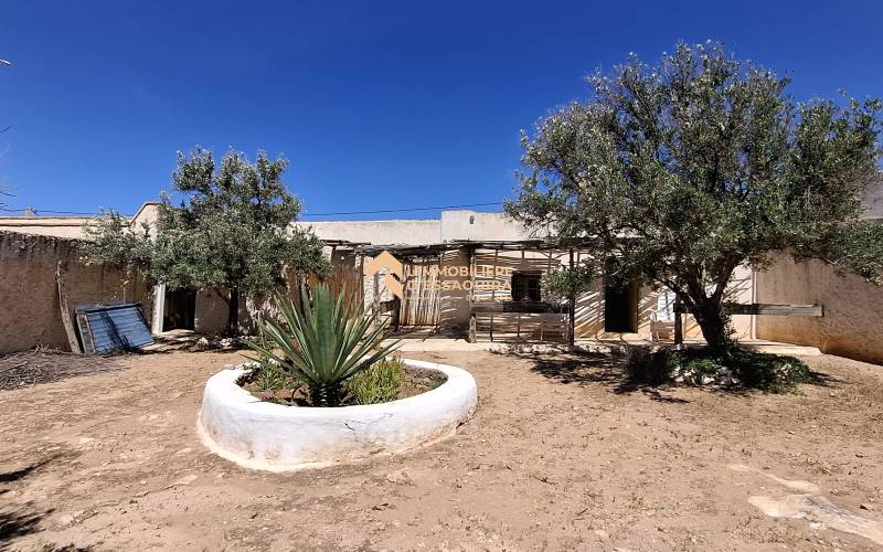 Bergerie Id Amer (15)